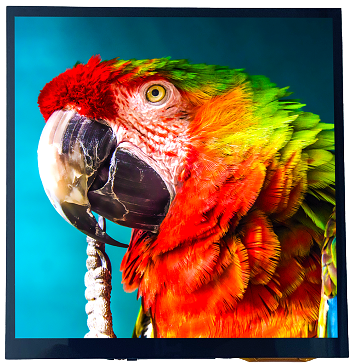 7.5inch 800×800 IPS highlight square LCD display with PCAP & Optical bonding