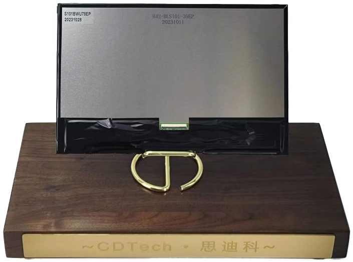 Écran LCD TFT IPS 10.1x1920 de 1200 pouces