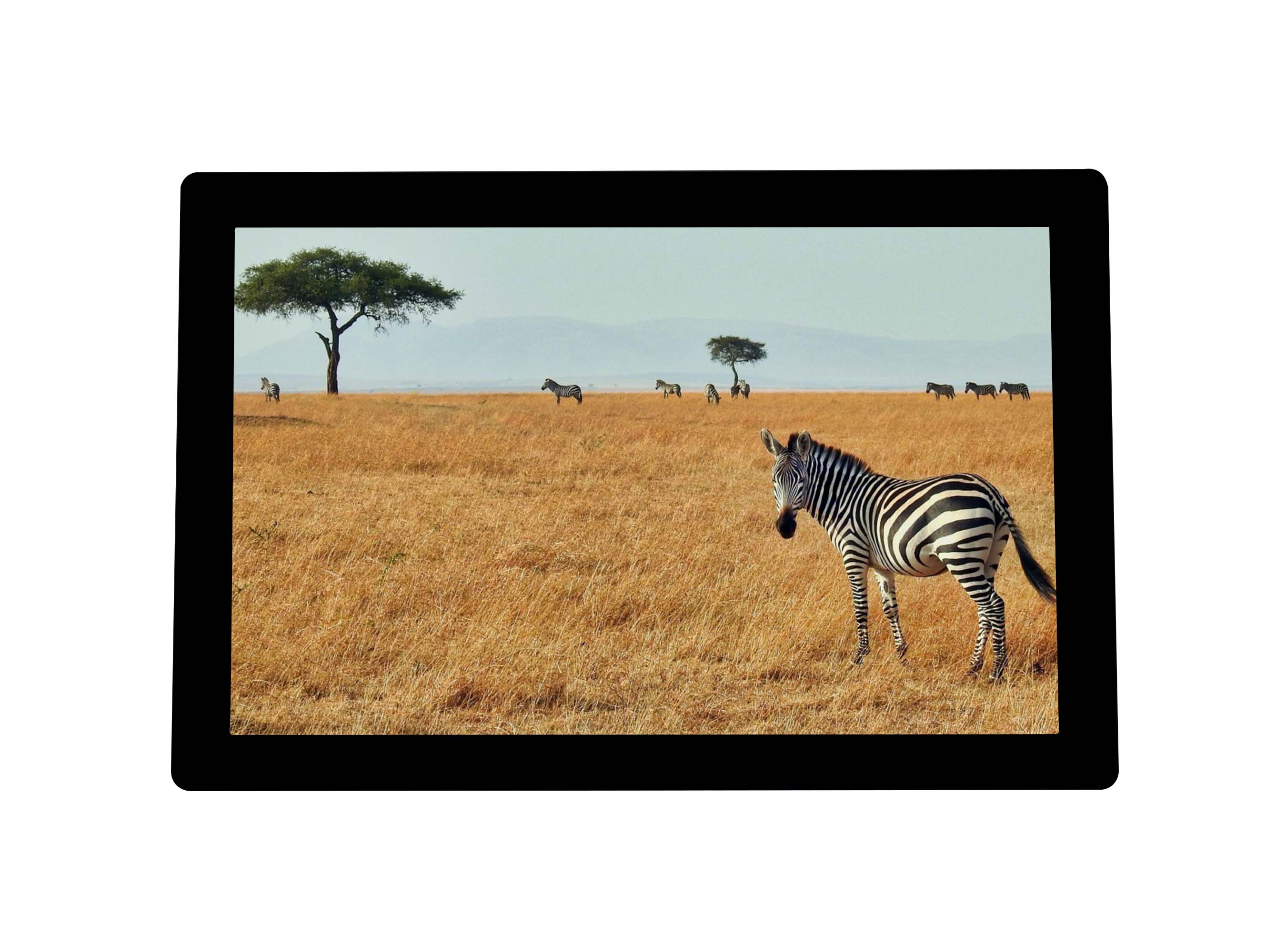 LCD Display Features That Outperform OLED for Industrial Use