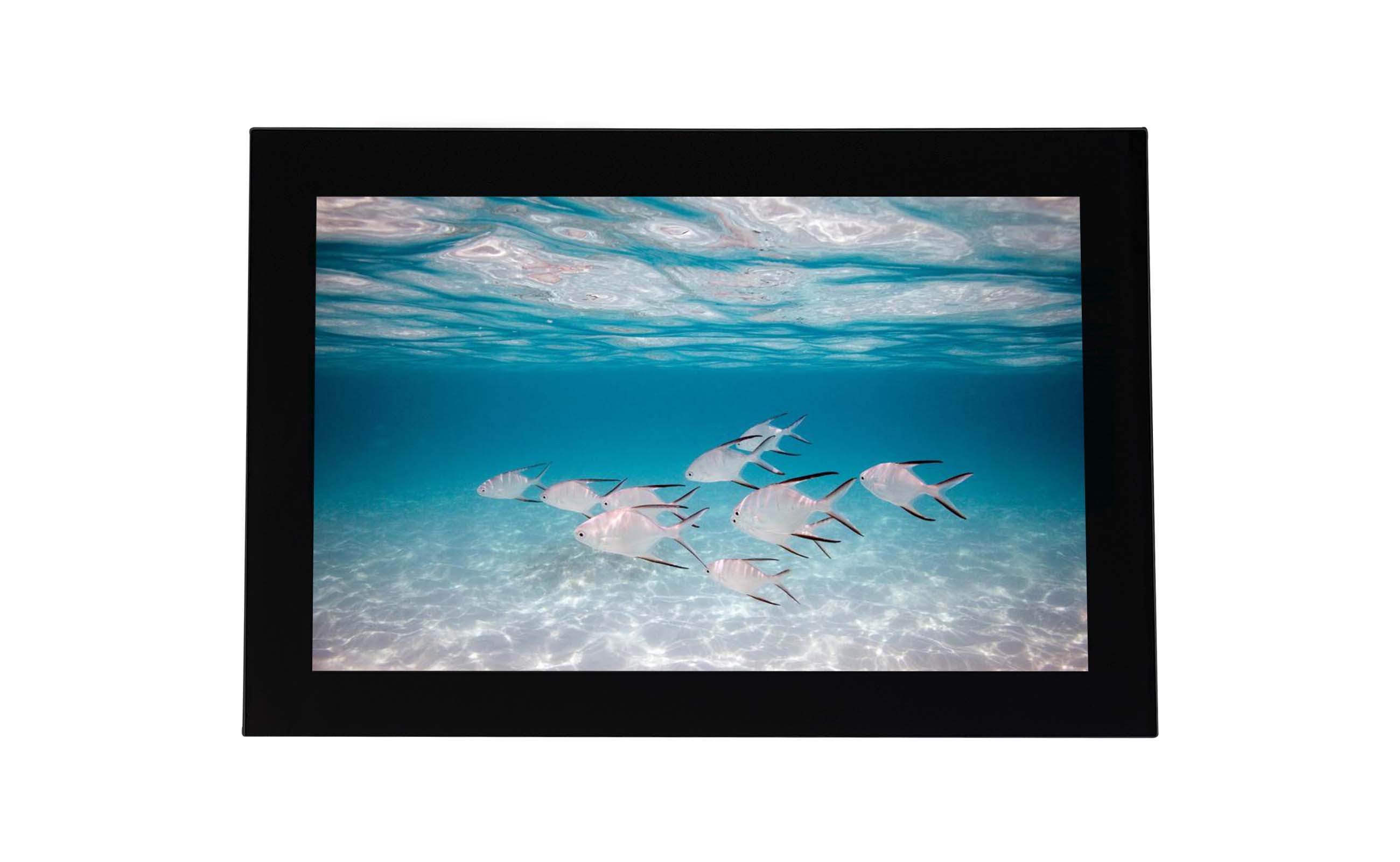 Why Choose CDTech as Your Custom LCD Display Manufacturer